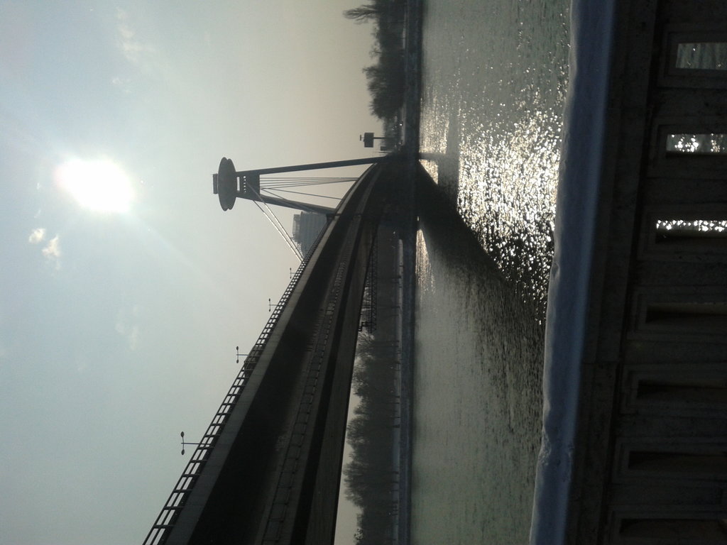 Foto 41